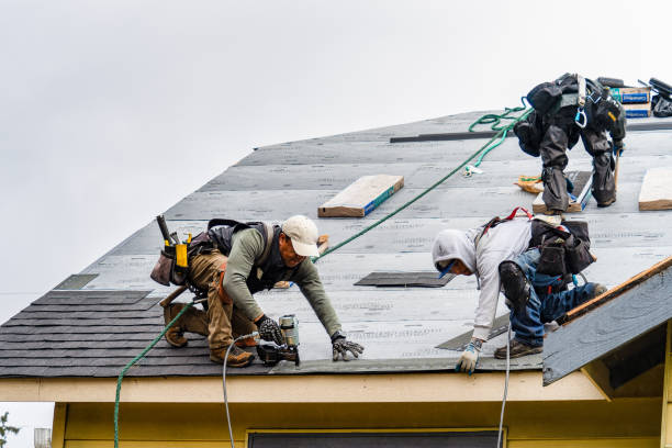 Professional Gutter Installation technician working in Lapwai, ID